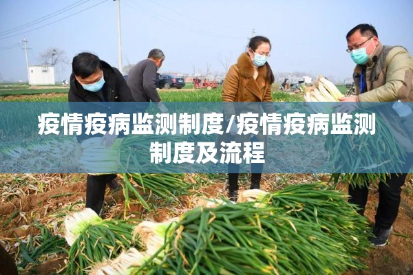 疫情疫病监测制度/疫情疫病监测制度及流程 疫情疫病监测制度/疫情疫病监测制度及流程