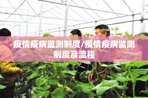 疫情疫病监测制度/疫情疫病监测制度及流程 疫情疫病监测制度/疫情疫病监测制度及流程