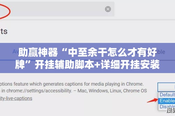 助赢神器“中至余干怎么才有好牌”开挂辅助脚本+详细开挂安装教程