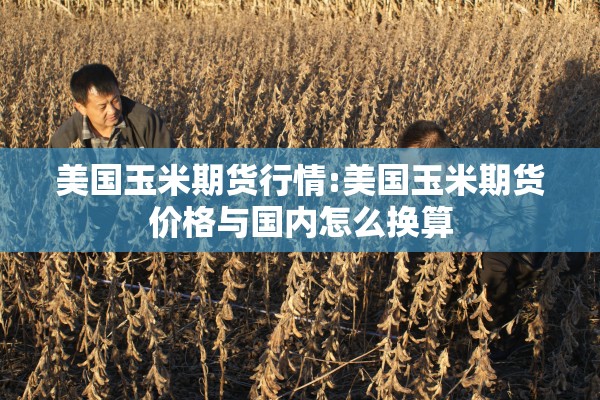 美国玉米期货行情:美国玉米期货价格与国内怎么换算
