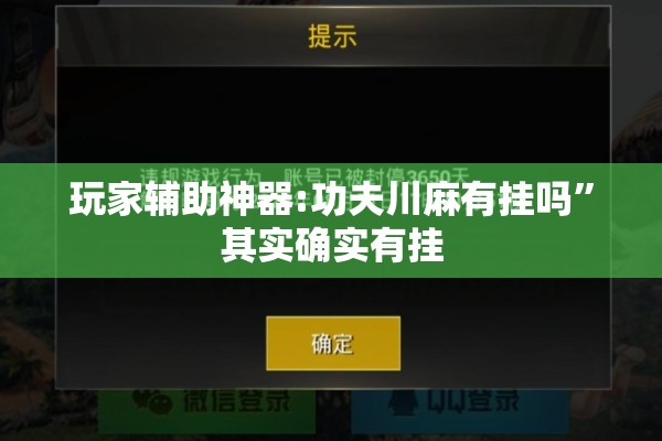 玩家辅助神器:功夫川麻有挂吗”其实确实有挂