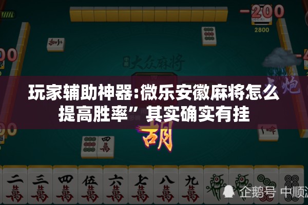 玩家辅助神器:微乐安徽麻将怎么提高胜率	”其实确实有挂