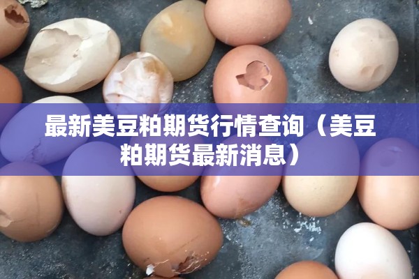 最新美豆粕期货行情查询（美豆粕期货最新消息）