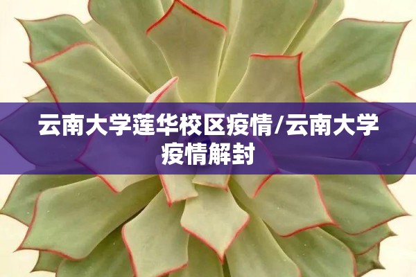 云南大学莲华校区疫情/云南大学疫情解封