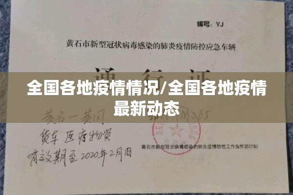 全国各地疫情情况/全国各地疫情最新动态