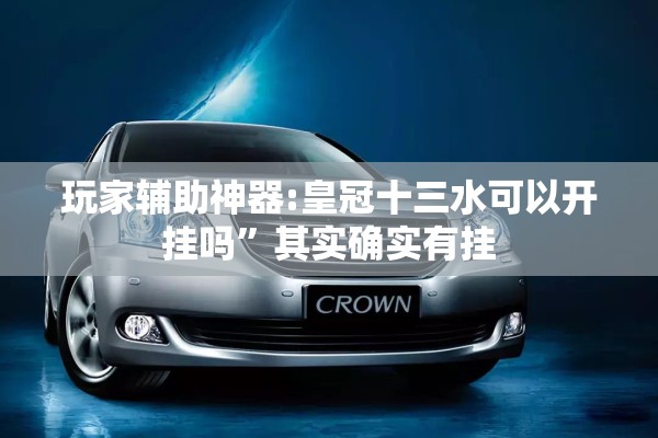 玩家辅助神器:皇冠十三水可以开挂吗”其实确实有挂