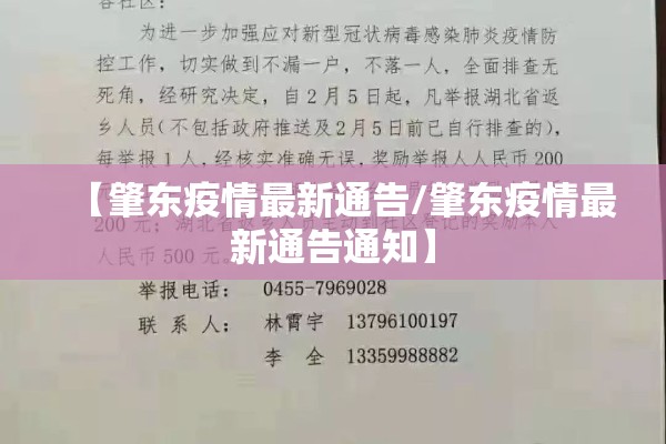 【肇东疫情最新通告/肇东疫情最新通告通知】