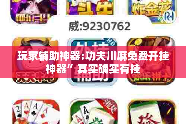 玩家辅助神器:功夫川麻免费开挂神器”其实确实有挂