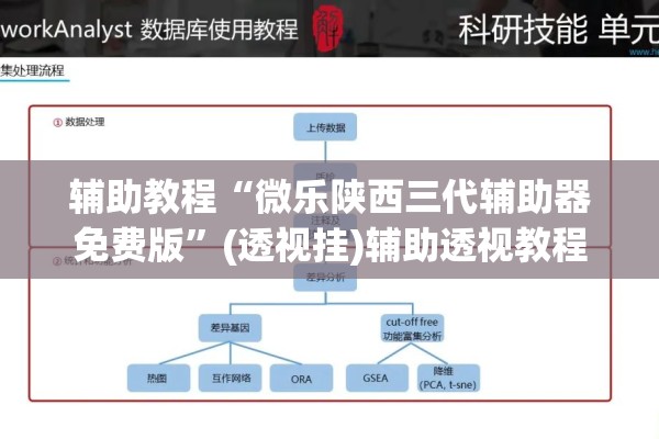 辅助教程“微乐陕西三代辅助器免费版”(透视挂)辅助透视教程