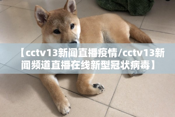 【cctv13新闻直播疫情/cctv13新闻频道直播在线新型冠状病毒】
