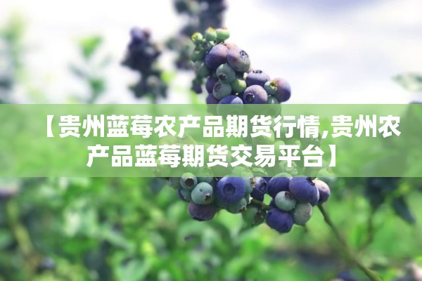 【贵州蓝莓农产品期货行情,贵州农产品蓝莓期货交易平台】 【贵州蓝莓农产品期货行情,贵州农产品蓝莓期货交易平台】