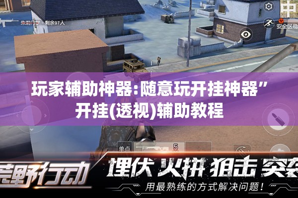玩家辅助神器:随意玩开挂神器”开挂(透视)辅助教程
