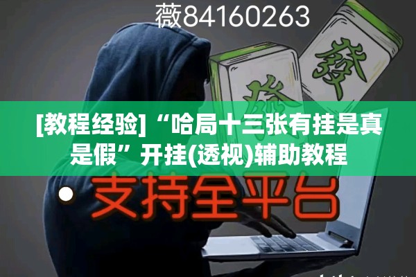 [教程经验]“哈局十三张有挂是真是假”开挂(透视)辅助教程
