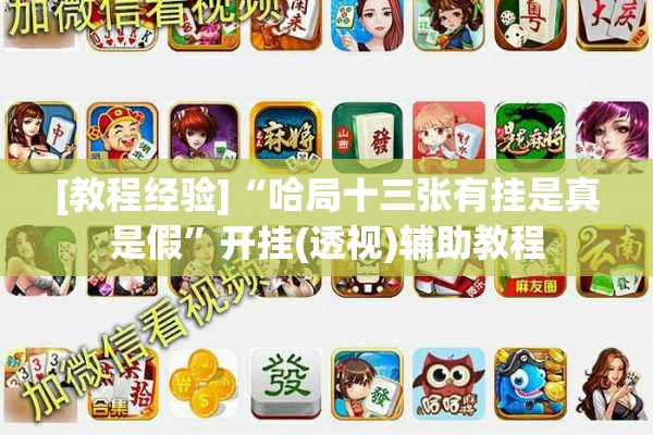 [教程经验]“哈局十三张有挂是真是假”开挂(透视)辅助教程