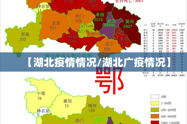 【湖北疫情情况/湖北广疫情况】