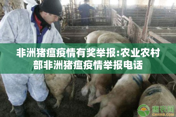 非洲猪瘟疫情有奖举报:农业农村部非洲猪瘟疫情举报电话