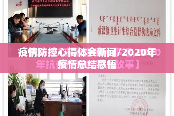 疫情防控心得体会新闻/2020年疫情总结感悟