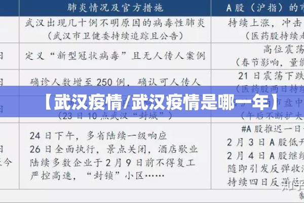 【武汉疫情/武汉疫情是哪一年】