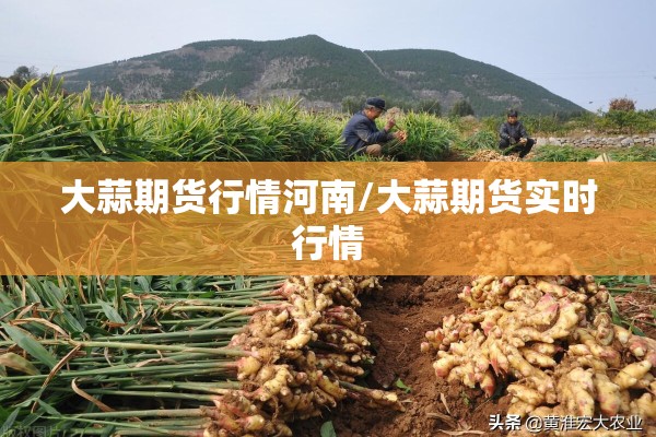 大蒜期货行情河南/大蒜期货实时行情