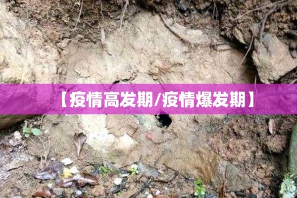 【疫情高发期/疫情爆发期】