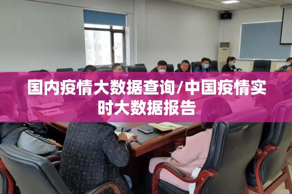 国内疫情大数据查询/中国疫情实时大数据报告