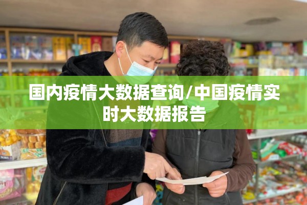 国内疫情大数据查询/中国疫情实时大数据报告