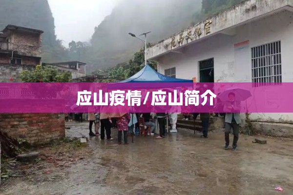应山疫情/应山简介