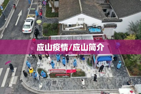 应山疫情/应山简介