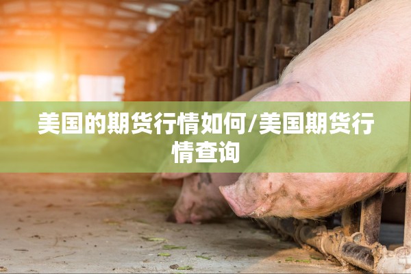 美国的期货行情如何/美国期货行情查询
