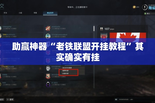 助赢神器“老铁联盟开挂教程”其实确实有挂