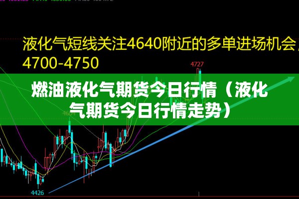 燃油液化气期货今日行情（液化气期货今日行情走势）