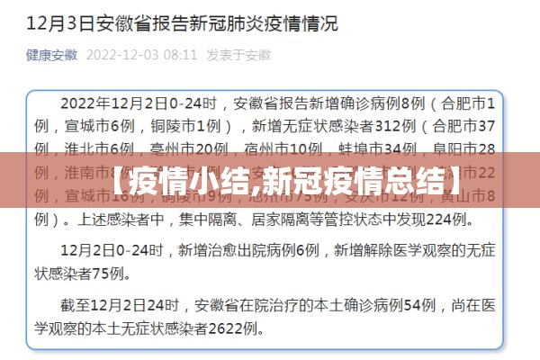 【疫情小结,新冠疫情总结】