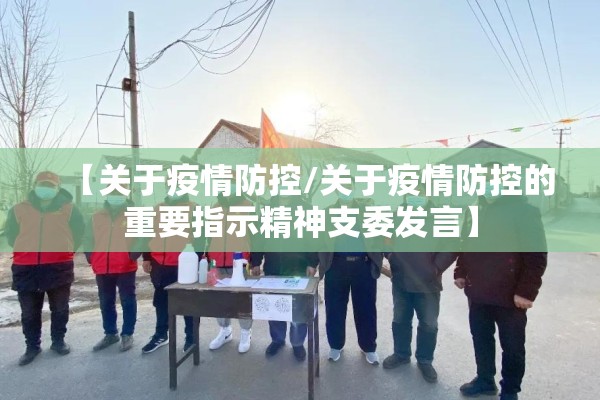 【关于疫情防控/关于疫情防控的重要指示精神支委发言】