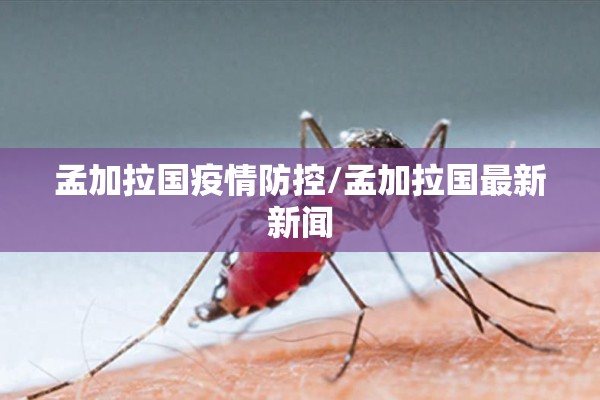 孟加拉国疫情防控/孟加拉国最新新闻