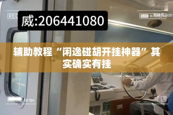 辅助教程“闲逸碰胡开挂神器”其实确实有挂
