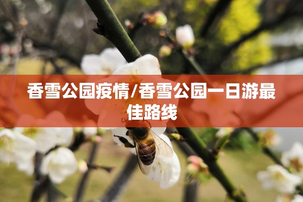 香雪公园疫情/香雪公园一日游最佳路线 香雪公园疫情/香雪公园一日游最佳路线