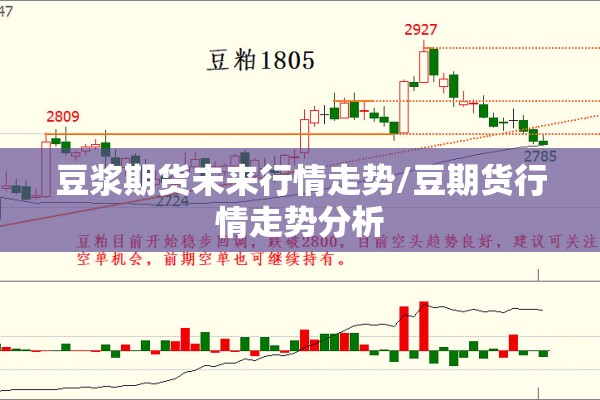 豆浆期货未来行情走势/豆期货行情走势分析