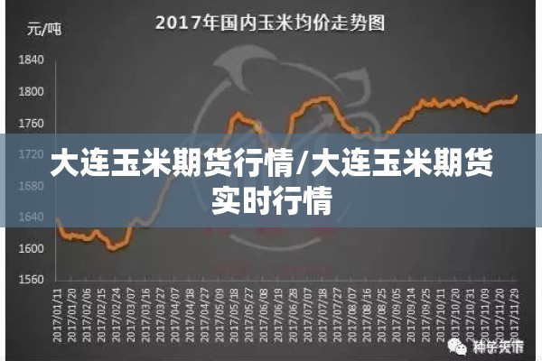 大连玉米期货行情/大连玉米期货实时行情