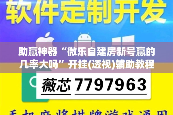 助赢神器“微乐自建房新号赢的几率大吗”开挂(透视)辅助教程