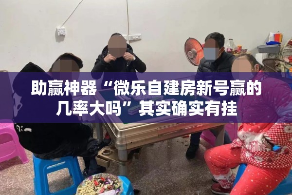 助赢神器“微乐自建房新号赢的几率大吗	”其实确实有挂