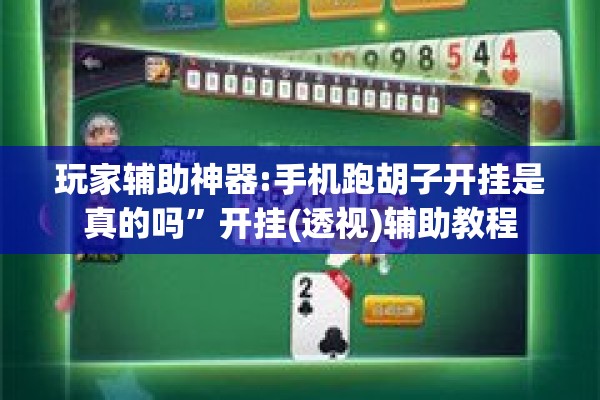 玩家辅助神器:手机跑胡子开挂是真的吗”开挂(透视)辅助教程