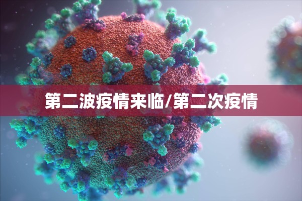 第二波疫情来临/第二次疫情