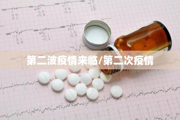 第二波疫情来临/第二次疫情