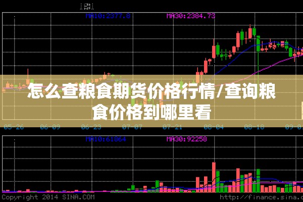 怎么查粮食期货价格行情/查询粮食价格到哪里看 怎么查粮食期货价格行情/查询粮食价格到哪里看