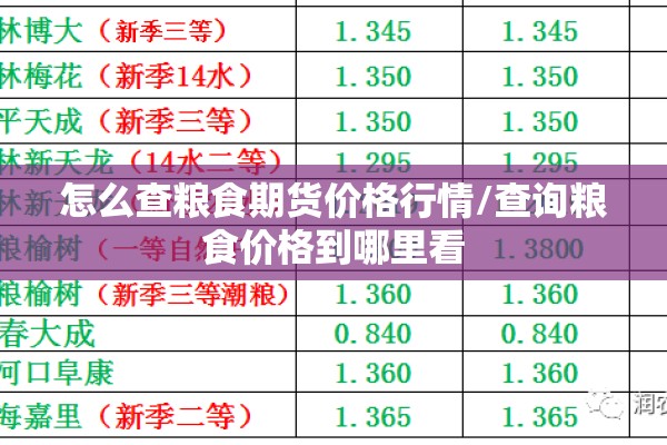 怎么查粮食期货价格行情/查询粮食价格到哪里看 怎么查粮食期货价格行情/查询粮食价格到哪里看