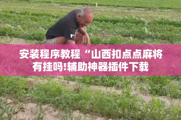 安装程序教程“山西扣点点麻将有挂吗!辅助神器插件下载