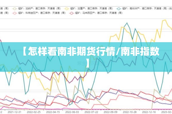 【怎样看南非期货行情/南非指数】