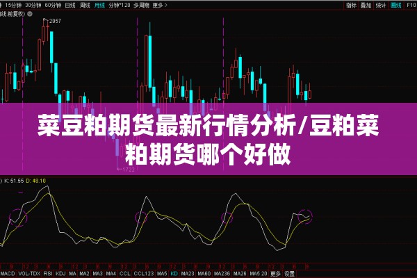 菜豆粕期货最新行情分析/豆粕菜粕期货哪个好做