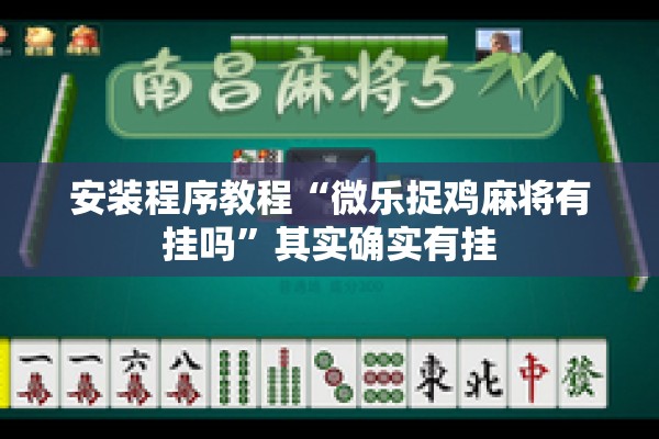 安装程序教程“微乐捉鸡麻将有挂吗”其实确实有挂