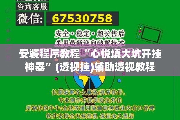 安装程序教程“心悦填大坑开挂神器”(透视挂)辅助透视教程